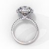 CAD-009 - Image 3